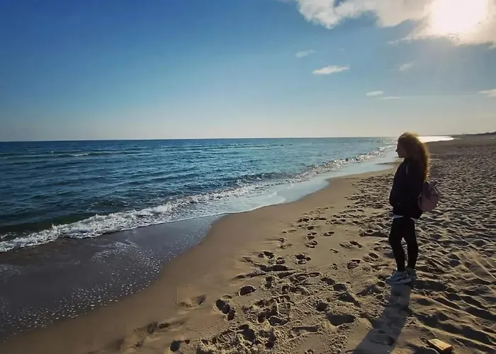 Japp'ca Japp'ca * קסטלנטה